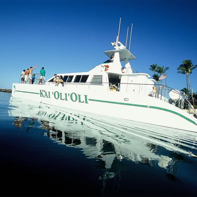 Ocean Joy Oahu Snorkel Tour