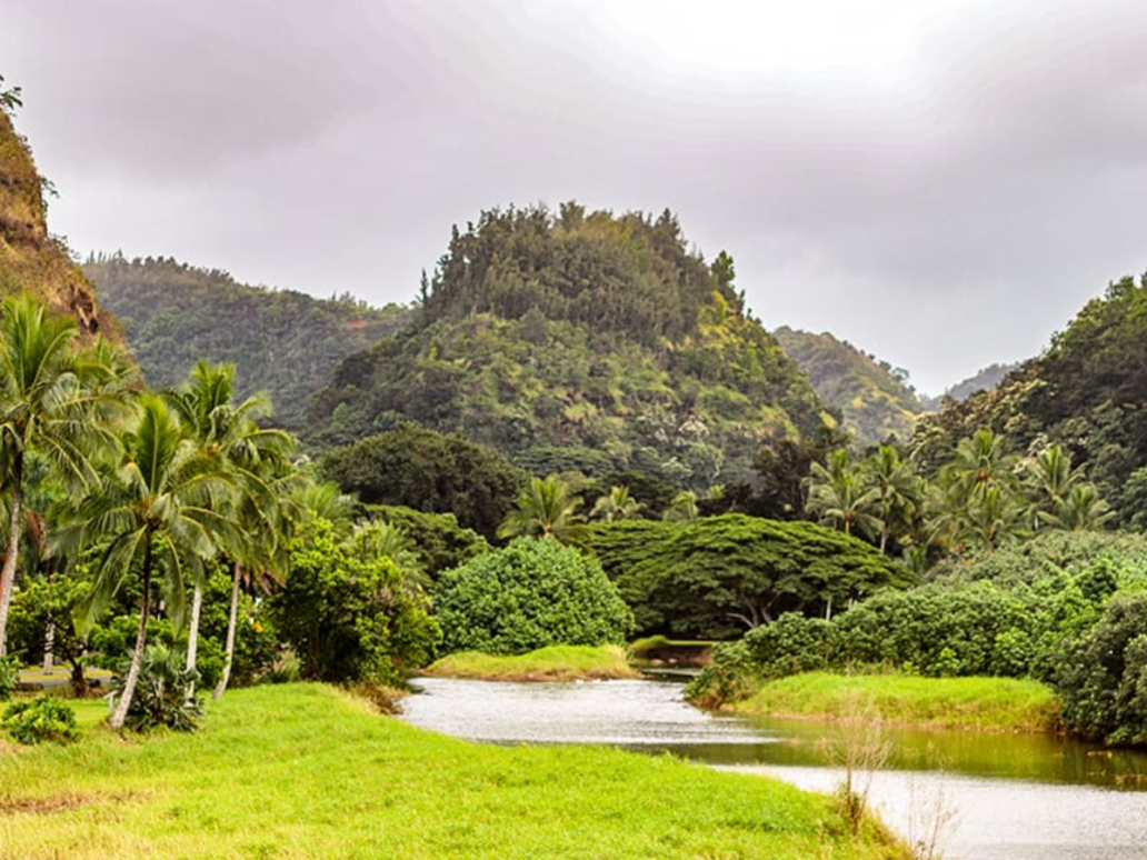 Waimea Valley