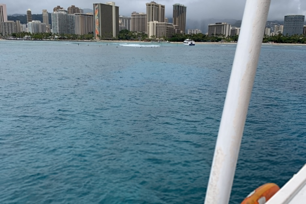 Island Water Sports with Waikiki Transportation