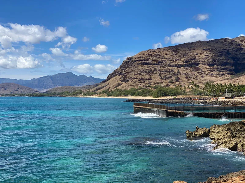 Electric Beach Snorkeling Spot