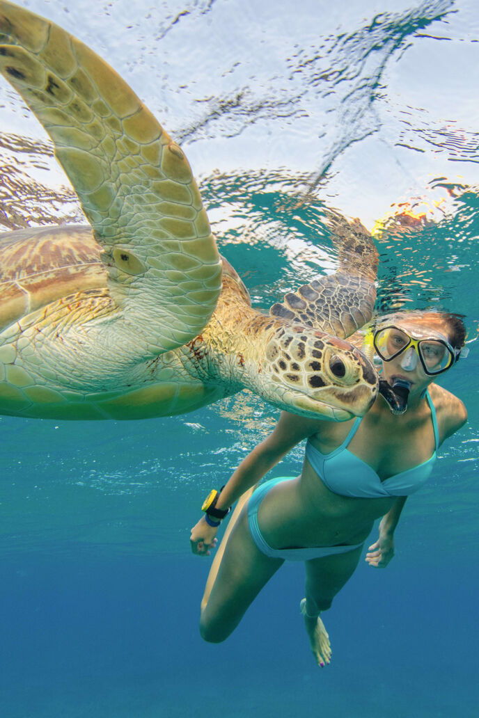 Snorkeling with turtles