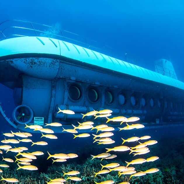 Waikiki Submarine Tour