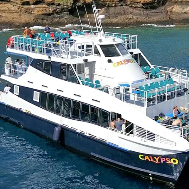 Calypso Maui Deluxe Cruise - Snorkel & Turtle Town Adventure