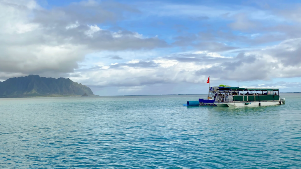 Captain Bruce cruising Kaneohe Bay