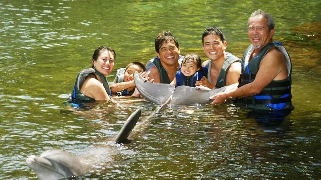 Dolphin Quest - Oahu