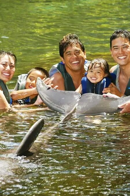 Dolphin Quest - Oahu