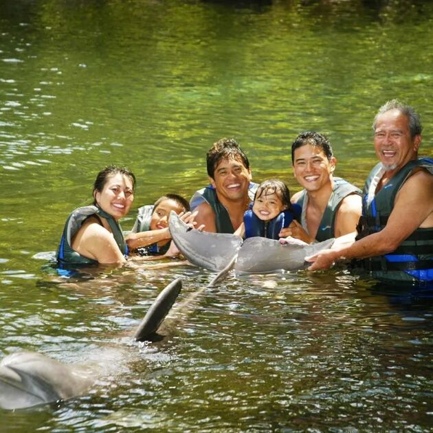 Dolphin Quest Oahu - Kahala Hotel