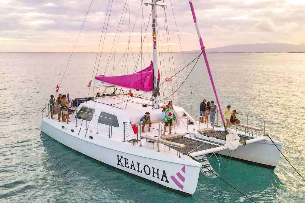 Sunset Cocktail & Ocean Swimming Cruise - Pink Sails Catamaran