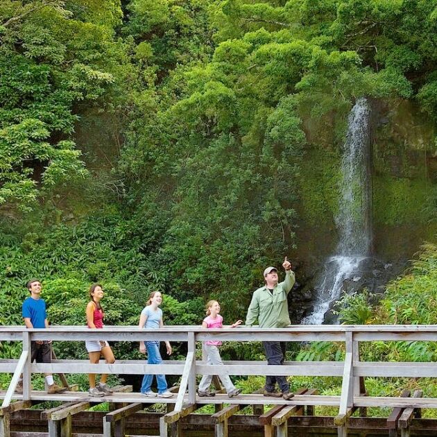 Kohala Waterfalls Hike & Swim Eco Tour + Off-Road Adventure