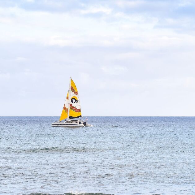 Honi Olani Sunset Cruise