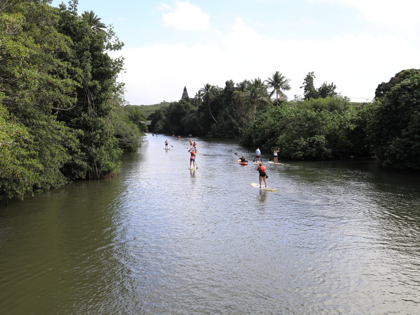 Paddle surfing lesson at Haleiwa Hawaii