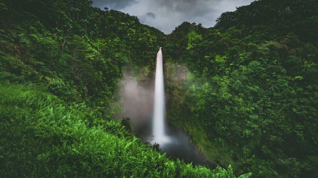 Rain and mist at Akaka Falls, a 300 foot tall waterfall surrounded by rain forest jungle in Akaka Falls State Park near Hilo and Honomu on the Big Island of Hawaiʻi. Hawaii, United States.