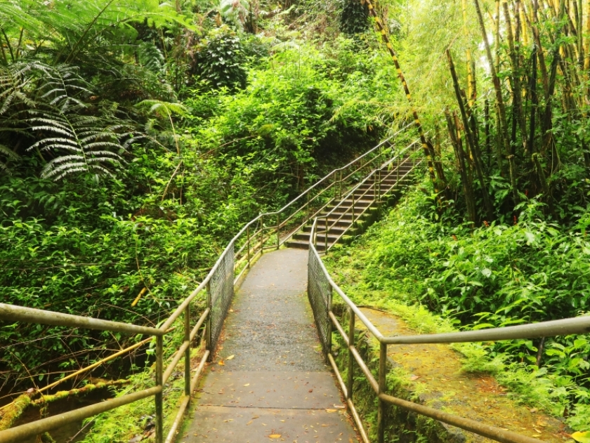 Akaka Falls - Hawaii Travel Guide