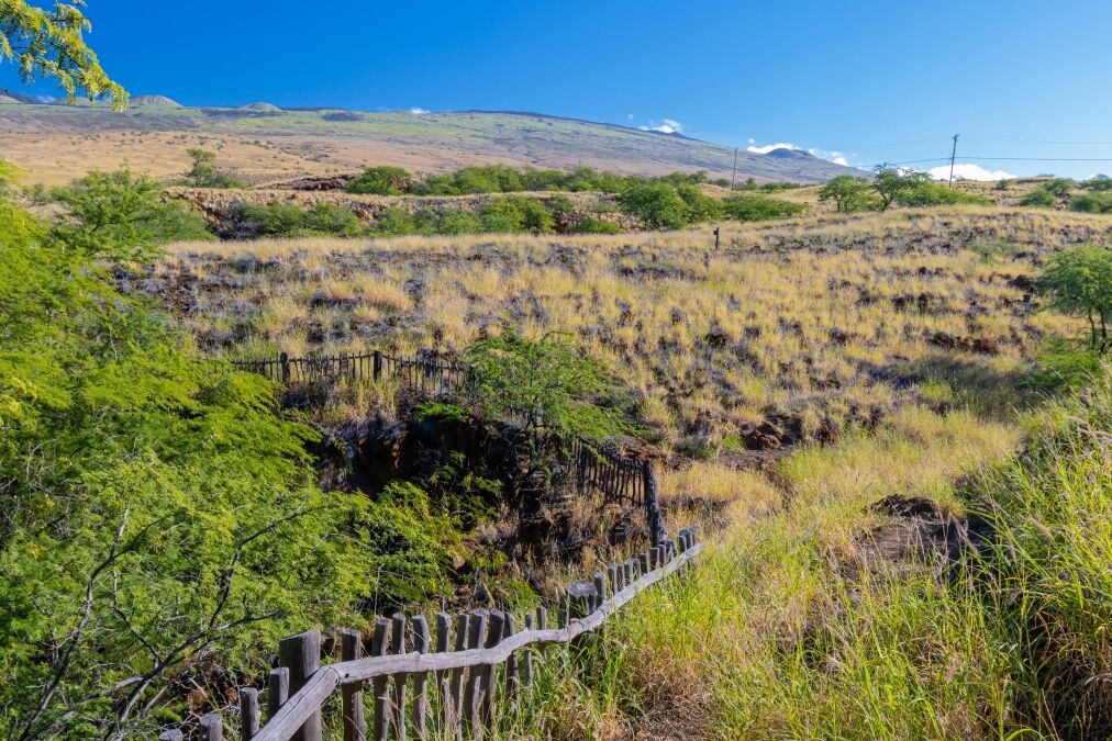 Wooden Fence Along The Ala Kahakai Trail National Historic Trail, Hawaii Island, Hawaii, USA