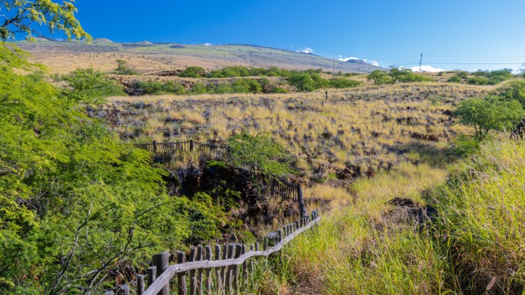 Wooden Fence Along The Ala Kahakai Trail National Historic Trail, Hawaii Island, Hawaii, USA