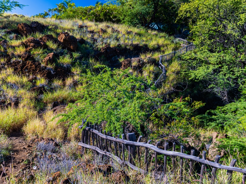 Wooden Fence Along The Ala Kahakai Trail National Historic Trail, Hawaii Island, Hawaii, USA