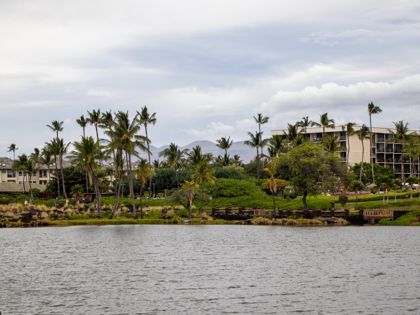 Anaeho'omalu Bay at Waikoloa Beach in Hawaii with building, palm trees, and volcanoes in the background