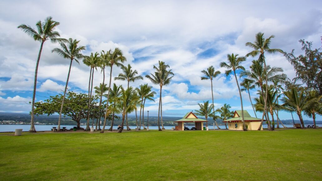 Recreation area with green lawn and tall palm trees in Hilo, Big Island, Hawaii