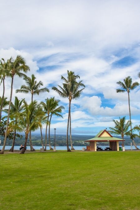 Recreation area with green lawn and tall palm trees in Hilo, Big Island, Hawaii