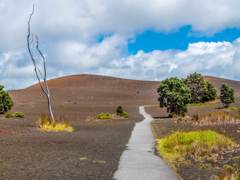 Devastation Trail leading into an old lava flow in Hawaii Volcanoes National Park on the Big Island.