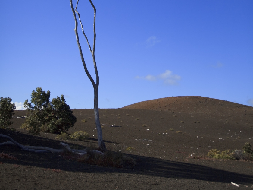 Devastation Trail at Hawaii Volcanoes National Park