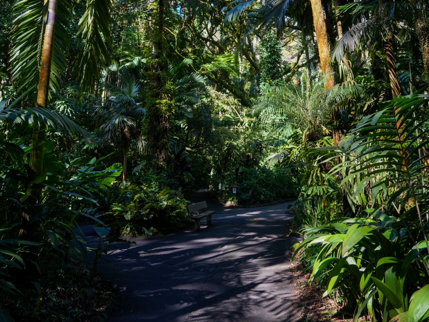 Hawai'i Tropical Bioreserve Garden in Onomea Bay, Big Island