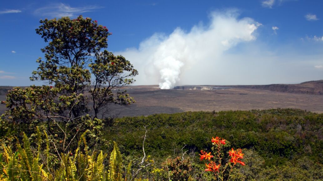 Stock image of Hawaii Volcanoes National Park, USA