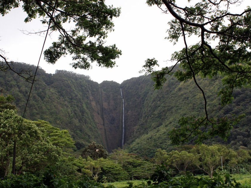 Hiilawe Falls cascading down a cliff located in the back of Waipio Valley surrounded by lush vegetation in Honokaa, Hawaii, USA