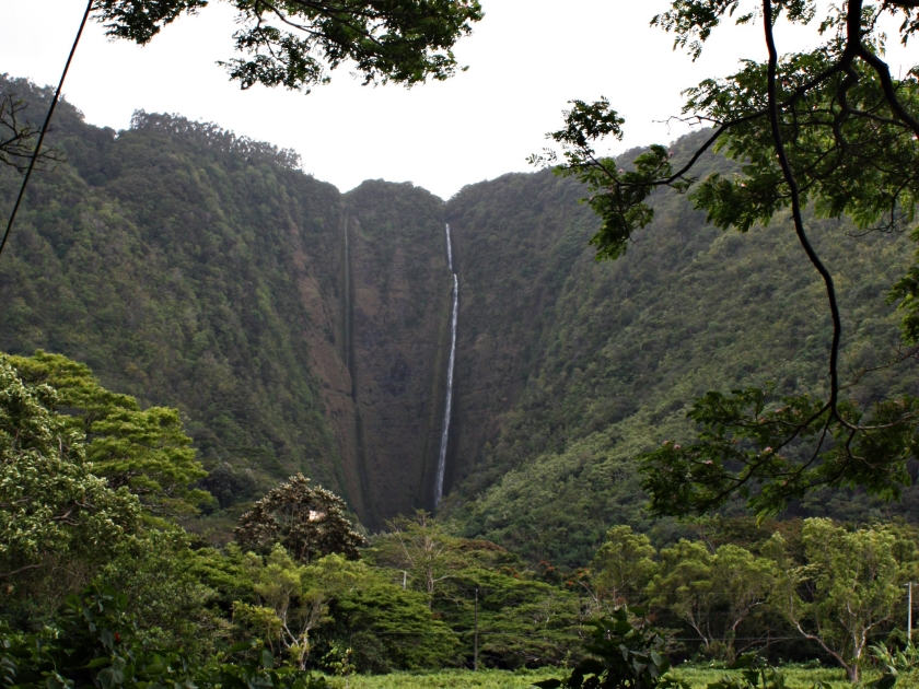 Hiilawe Falls cascading down a cliff located in the back of Waipio Valley surrounded by lush vegetation in Honokaa, Hawaii, USA