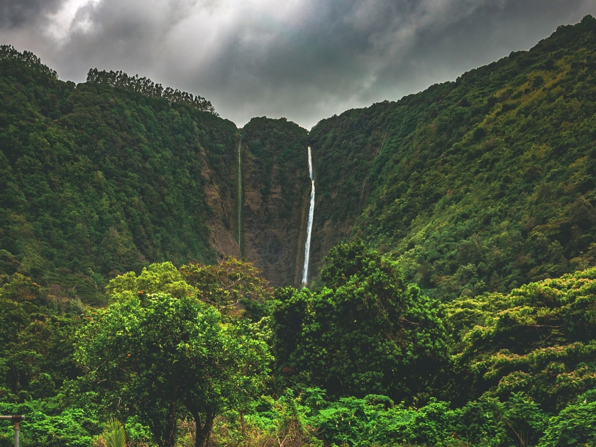 Hiilawe Falls, the biggest and tallest waterfall in the state that feeds the river winding through Waipio Valley in the Hamakua district on the north shore of the big island of Hawai'i, United States.