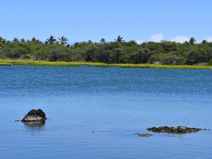 Fishing ponds at Kaloko-Honokohau National Historic Park at Kailua-Kona on the Big Island in Hawaii