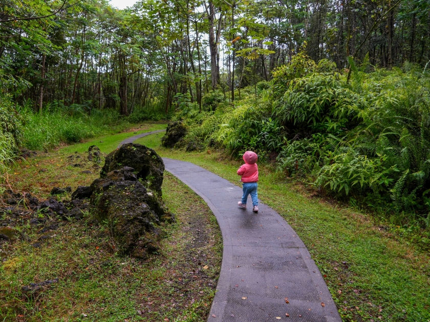 Lava Tree State Monument on the slopes of the Kilauea volcano in the southeast of the Big Island of Hawaii, United States