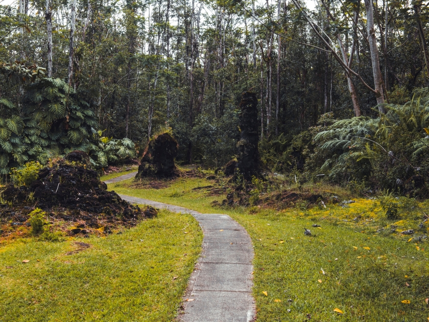 Petrified tree state park on big island of Hawaii