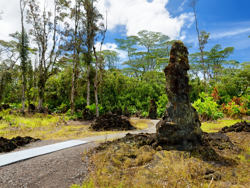 Lava molds of the tree trunks that were formed when a lava flow swept through a forested area in Lava Tree State Monument on the Big Island of Hawaii, USA