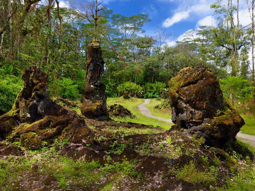 Lava molds of the tree trunks that were formed when a lava flow swept through a forested area in Lava Tree State Monument on the Big Island of Hawaii, USA