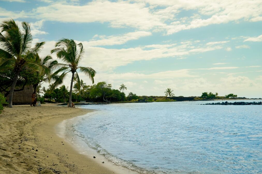 Kamakahonu Beach, Hawaii has sandy beach, shoreline, and palm trees surrounding cove