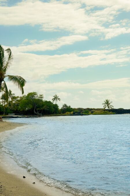 Kamakahonu Beach, Hawaii has sandy beach, shoreline, and palm trees surrounding cove