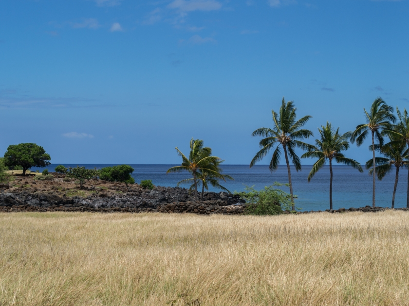 Scenic view from the Kealakekua Bay State Historical Park towards the ocean, in Kona, Hawaii