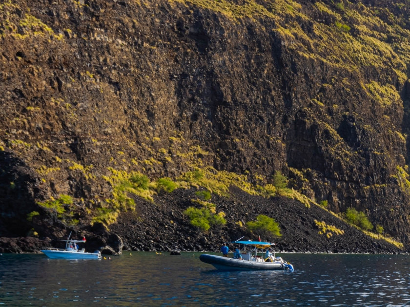 Small Boats And Snorkelers on Kealakekua Bay, The Captain Cook Monument Trail, Captain Cook, Hawaii Island, Hawaii, USA