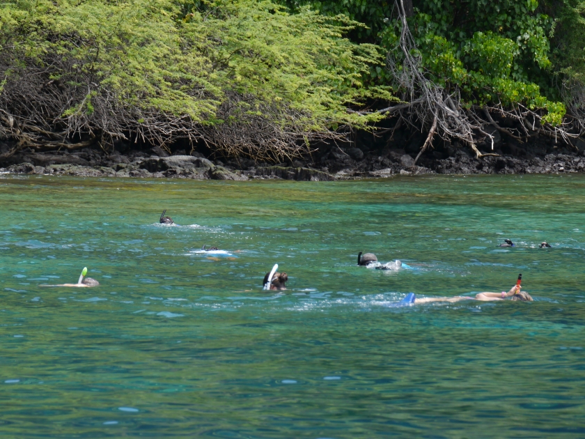 snorkelers in the crystal clear waters of Kealakekua Bay at Captain Cook Monument on Big Island, Hawaii