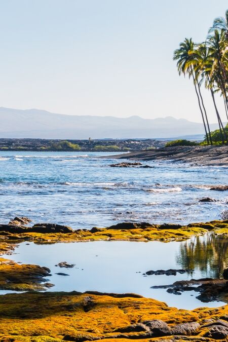 Tide Pools and Exposed Lava on Kiholo Bay Beach, Hawaii Island, Hawaii, USA