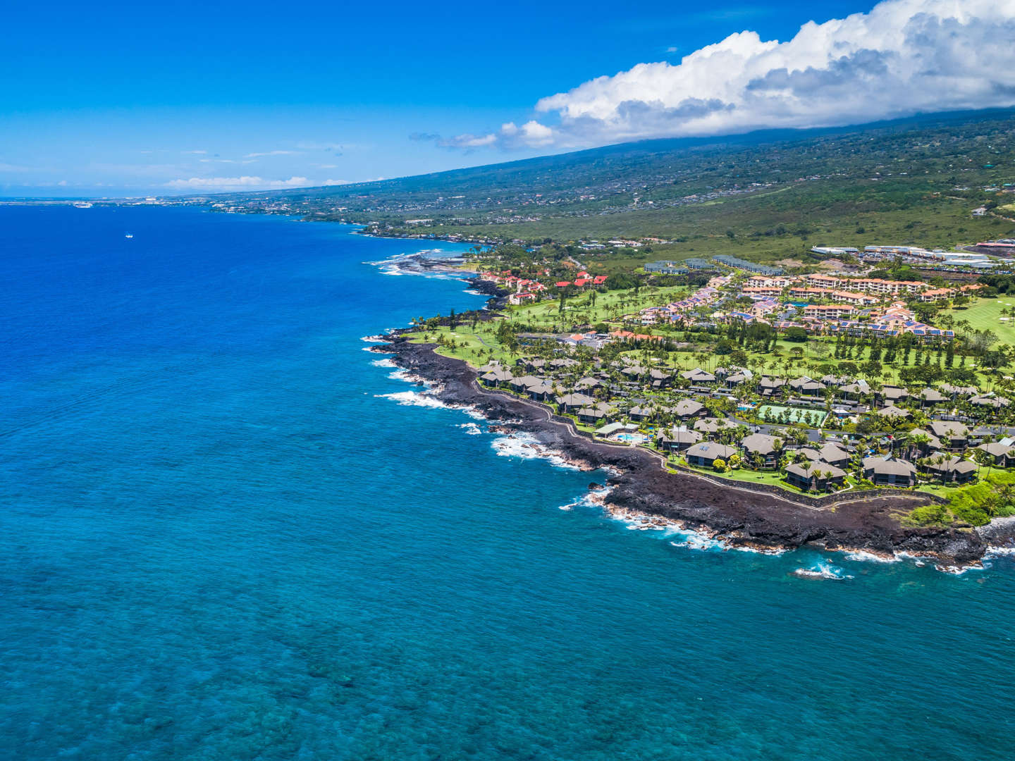 Hawaii Flower Lei - A Circle of Aloha and the Iconic Symbol of