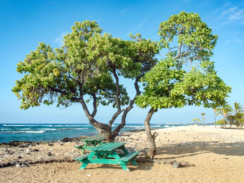 Mahaiula Beach,Big Island Hawaii