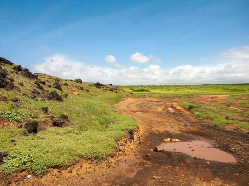 A view of Papakōlea Beach in the south of the Big Island of Hawaii