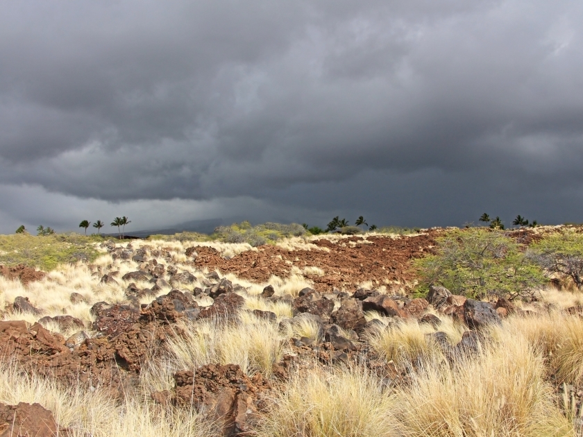 Manini'owali Beach in Kua Bay, Big Island, Hawaii. The view on the desert hill covered with hay and lava rocks, dark cloudy sky in contrast with bright ground. Storm is coming.