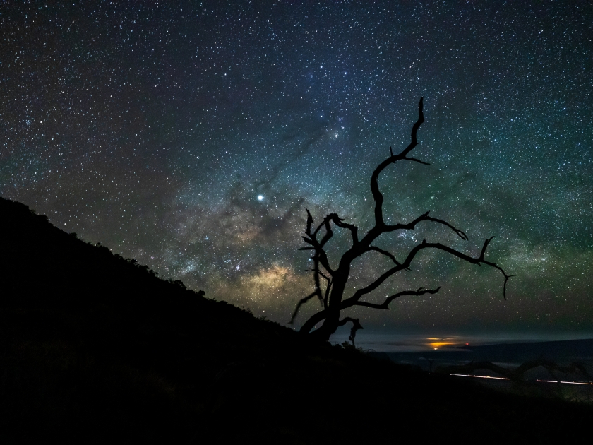 The Milky Way rising over Mauna Kea volcano on the island of Hawaii with a lone tree silhouetted in the foreground and Jupiter near the galactic core. A wide angle shot.