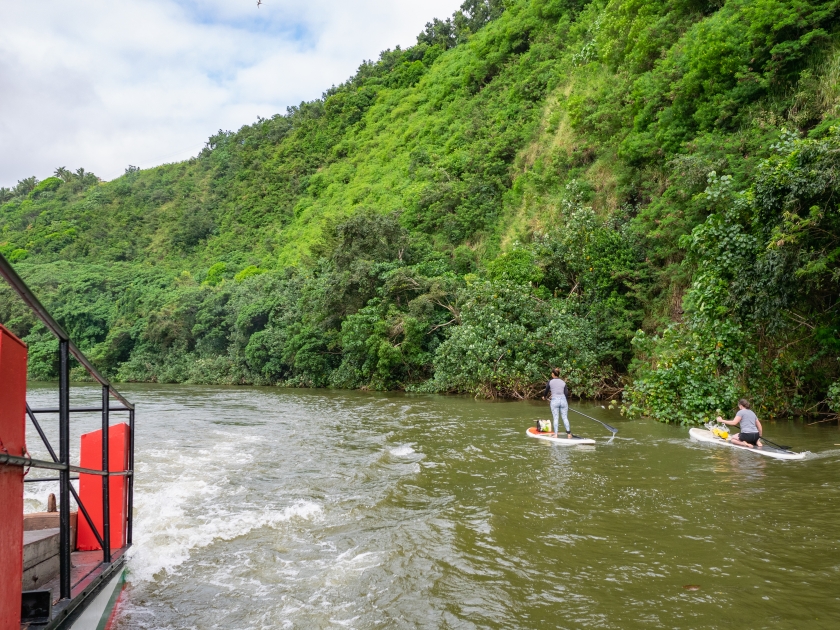 Wailua River Cruise & Grotto Tour takes you on a cruise down the Wailua River to the botanical beauty of Fern Grotto plus a romantic visit to Opaekaa Falls on Kauai.