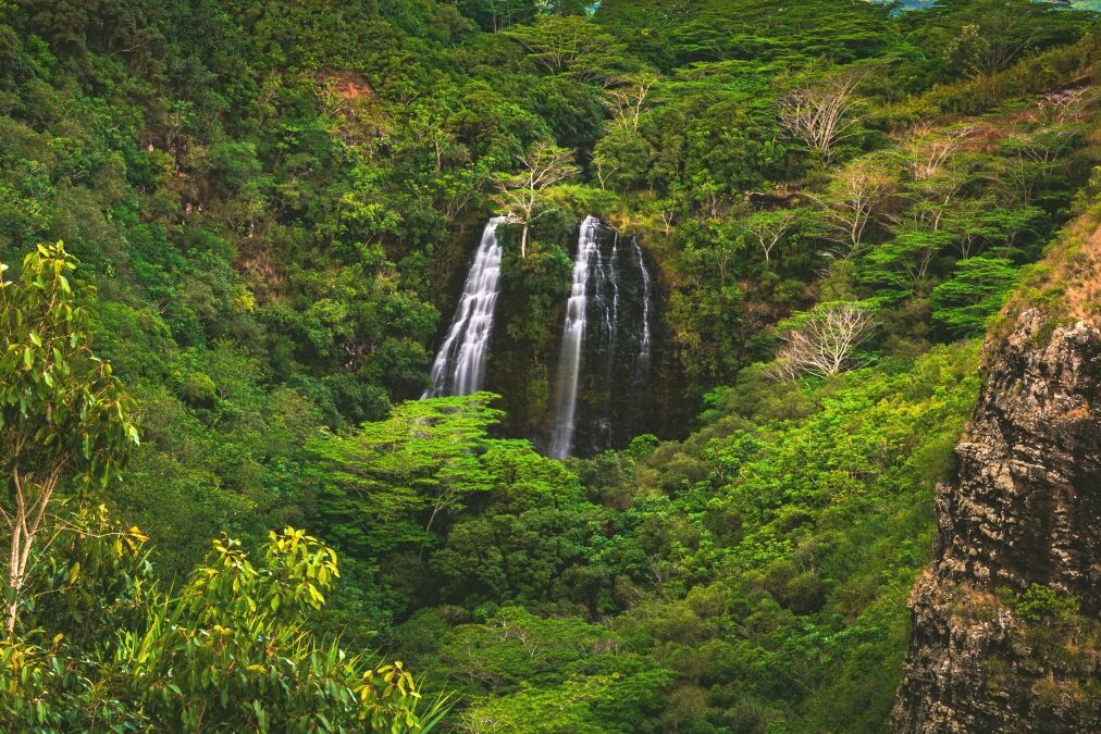 ʻŌpaekaʻa Falls, a waterfall located on the ʻŌpaekaʻa Stream in Wailua River State Park on the eastern side of the island of Kauai, Hawaii, United States.