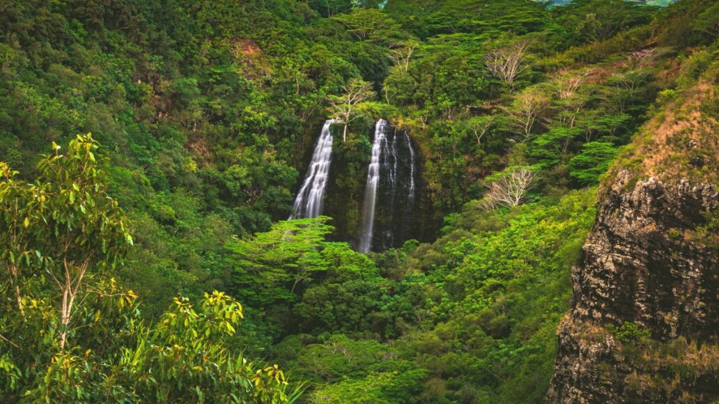 ʻŌpaekaʻa Falls, a waterfall located on the ʻŌpaekaʻa Stream in Wailua River State Park on the eastern side of the island of Kauai, Hawaii, United States.