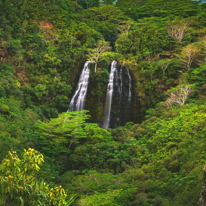 ʻŌpaekaʻa Falls, a waterfall located on the ʻŌpaekaʻa Stream in Wailua River State Park on the eastern side of the island of Kauai, Hawaii, United States.